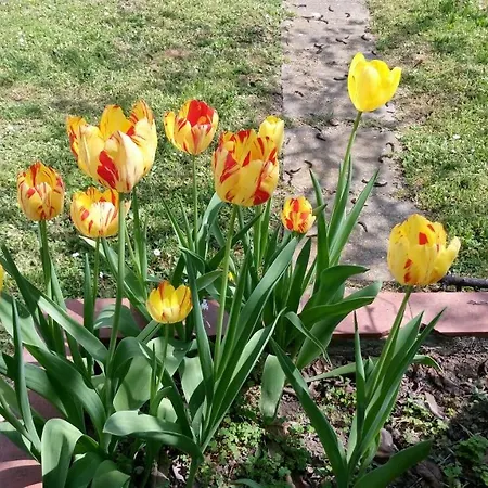 Panzió Stop Over Blq