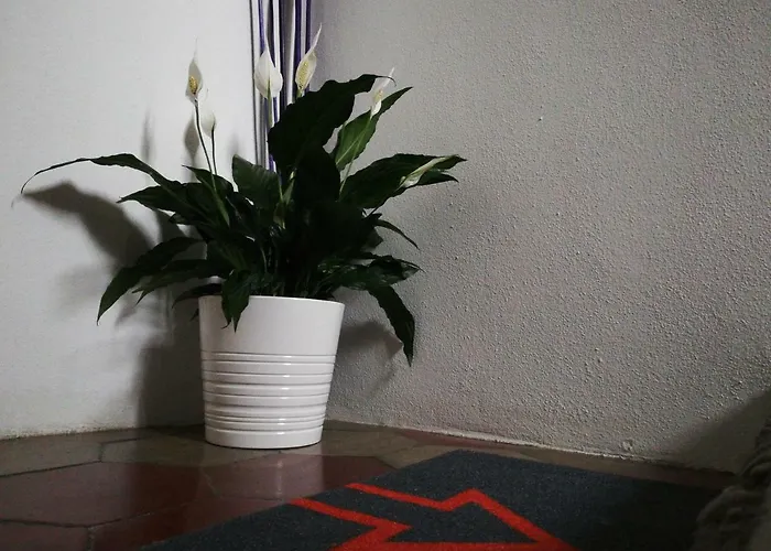 Stop Over Blq B&B 볼로냐